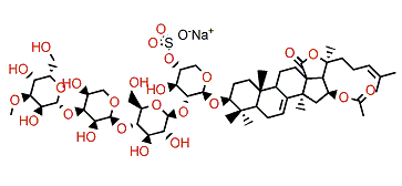 Violaceuside B